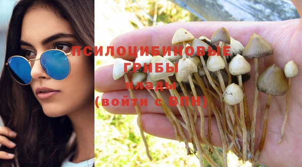 mdma Лиски